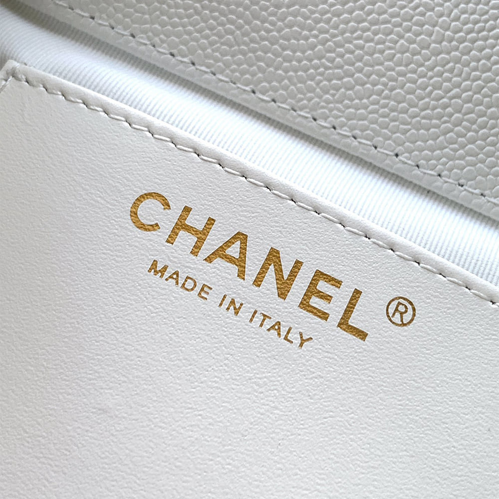 Chanel Large Duma Backpack(HIGH-END GRADE)