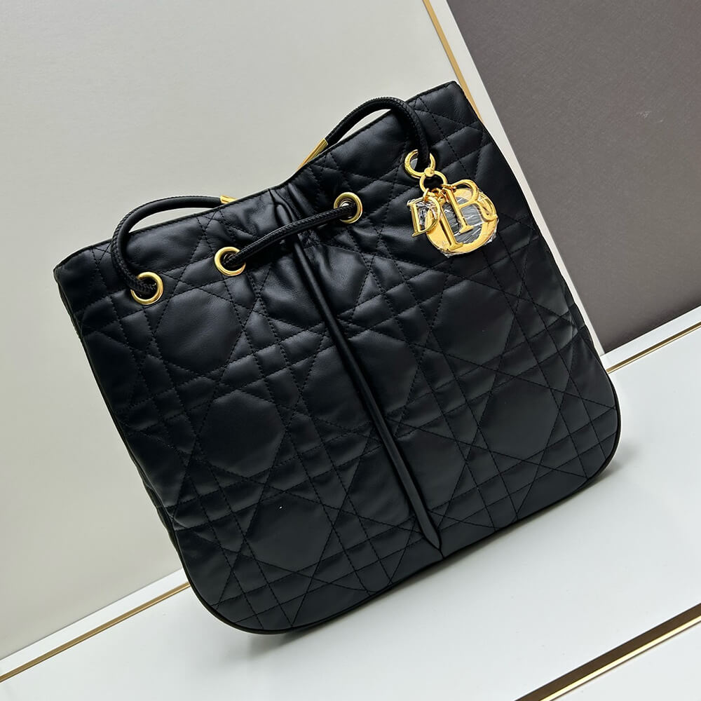 Large Dior Nolita Bag