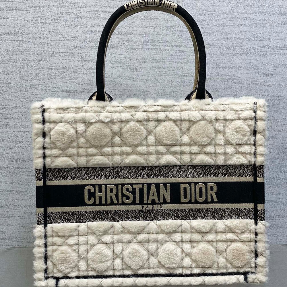 Medium Dior Book Tote