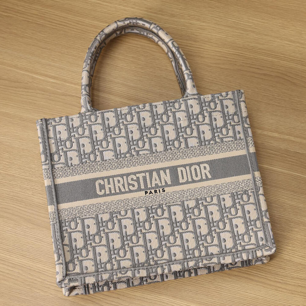 SMALL DIOR BOOK TOTE