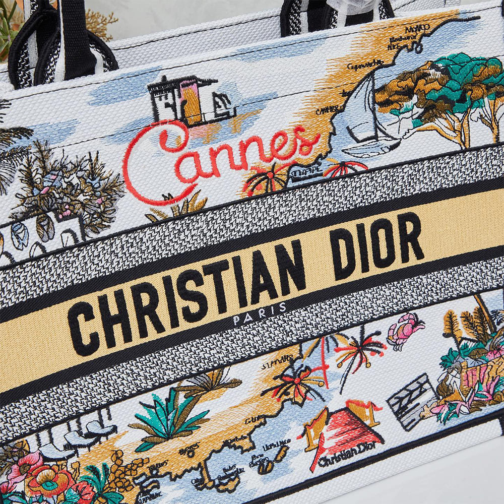 Dior Souvenir Medium Dior Book Tote