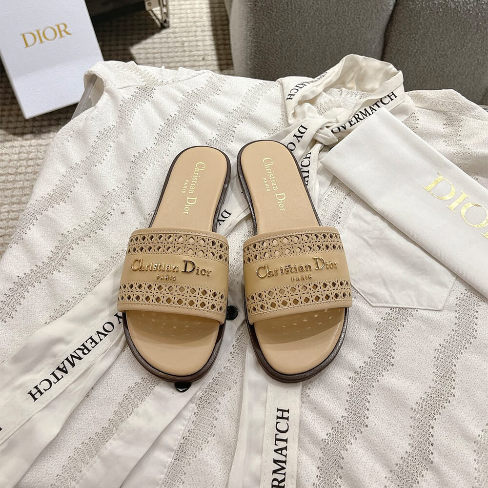 DIOR D-Lane Slide