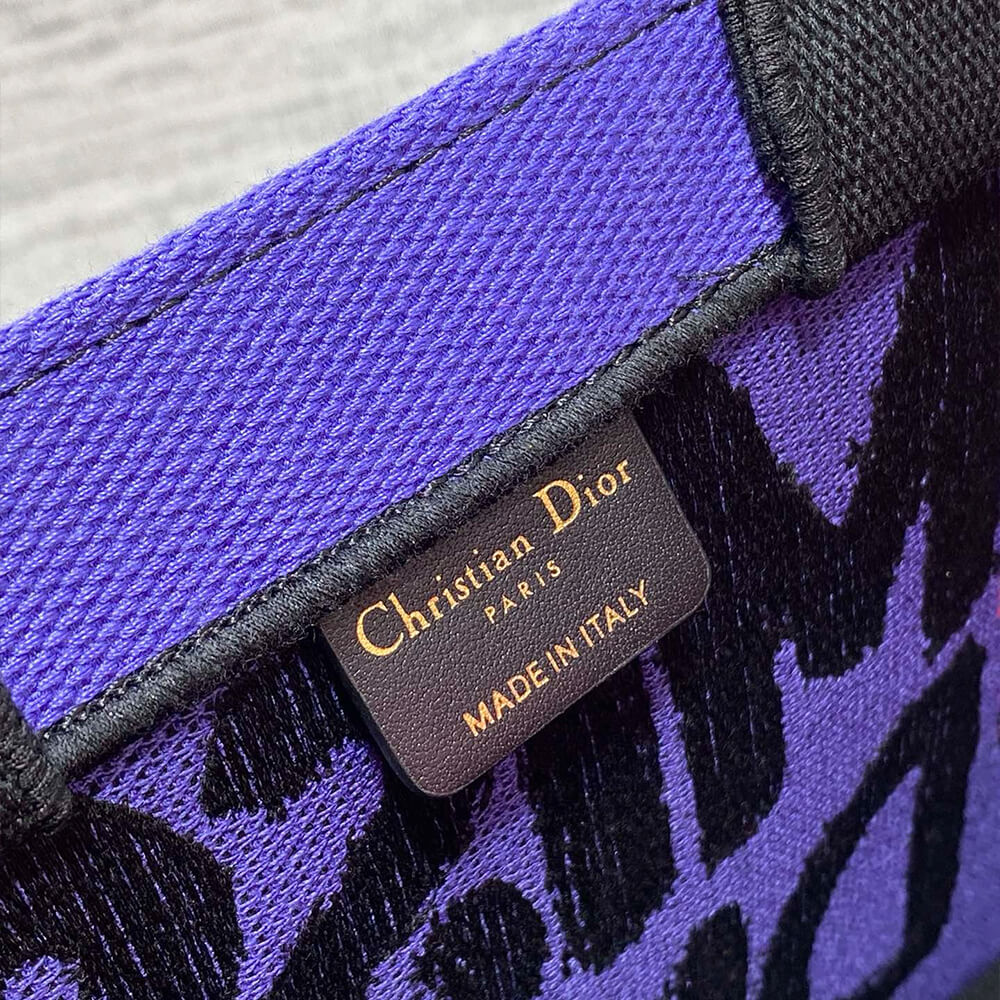 Small Dior Book Tote