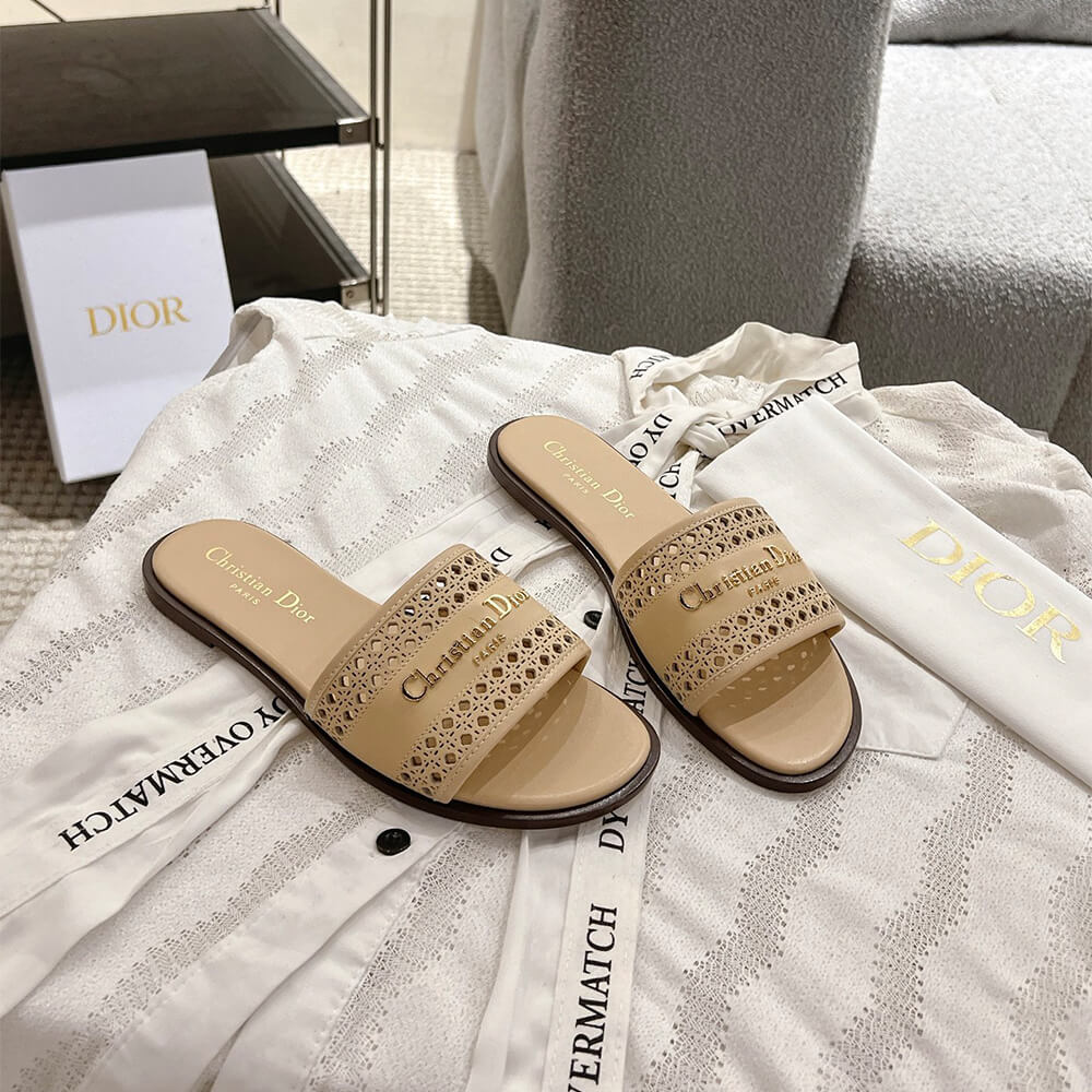 DIOR D-Lane Slide